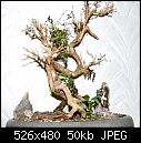 Invisible pest killing bonsai-bonsai.jpg