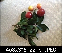Is this plum like fruit edible or poisonous?-2.jpg