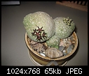 Pseudolithos-pseudolithos5002.jpg