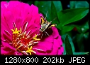Click image for larger version

Name:	Skipper.jpg
Views:	225
Size:	202.2 KB
ID:	10052