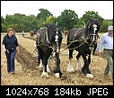 A bit OT. Chertsey Ploughing Match-dscn1078.jpg