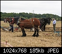 A bit OT. Chertsey Ploughing Match-dscn1080.jpg