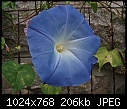 Click image for larger version

Name:	DSC00366-Edit.jpg
Views:	375
Size:	206.1 KB
ID:	10221