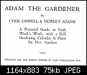 1946 Adam the gardener October week 3 page 2 S_edge-1946.jpg
