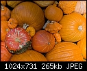 Oct31  - 20086092_sizes-shapes.jpg-20086092_sizes-shapes.jpg