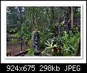 Click image for larger version

Name:	b-5485_3_4_rain-05-011-08-40-40.jpg
Views:	222
Size:	297.7 KB
ID:	10341
