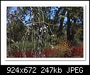 Click image for larger version

Name:	b-5065-perth-19-10-08-40-85.jpg
Views:	235
Size:	246.5 KB
ID:	10344