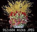 Big pot with yellow blooms - SDC12336a.jpg-sdc12336a.jpg