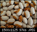 Macros  - Beans_Stuben.jpg (1/1)-beans_stuben.jpg