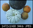 Macros  - 2003_Melons-web.jpg (1/1)-2003_melons-web.jpg