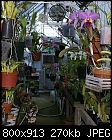 -greenhouse-dsc03006.jpg