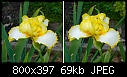 3D Iris-3d-iris.jpg