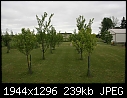 Orchard  - Orchard-South-2.jpg (1/1)-orchard-south-2.jpg