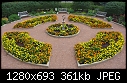 Green Bay Botanic Gardens - U04 Marigold.JPG (1/1)-u04-marigold.jpg