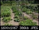 Garden - Garden_6108.jpg (1/1)-garden_6108.jpg