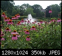 Cantigny C Pink coneflowers with fountain and McCormick mansion in distance.JPG (1/1)-c-pink-coneflowers-fountain-mccormick-mansion-distance.jpg