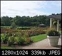 Cantigny C About a third of the rose garden, with Idea Garden beyond.JPG (1/1)-c-about-third-rose-garden-idea-garden-beyond.jpg