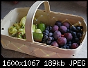Garden Harvest - Fruit_Basket_7158.jpg (1/1)-fruit_basket_7158.jpg