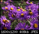 -08-another-two-bee-pic.jpg