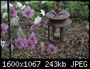 Flower Garden Views - Lamp_7284.jpg (1/1)-lamp_7284.jpg
