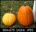 Pumpkins (World's oldest?)-pumpkinsold-new.jpg