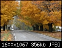 Last of Fall Color - Cemetery_Leaves_7620.jpg (1/1)-cemetery_leaves_7620.jpg