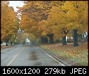 Last of Fall Color - Cemetery_Leaves_0185.jpg (1/1)-cemetery_leaves_0185.jpg