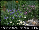 Flowers (Retro) - Rear_Flower_Garden-2K.jpg (1/1)-rear_flower_garden-2k.jpg