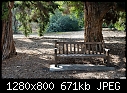 The bench-bench.jpg