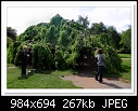 Upside-down Tree-4358-c-4358-london-10-05-09-5d-40.jpg