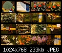 flower show 2010 - Sheet_001.jpg (1/1)-sheet_001.jpg