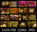 flower show 2010 - Sheet_001.jpg (1/1)-sheet_002.jpg