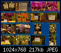 Finally got my indexes to the flower show straight-flowershow-3-1-10-2.jpg