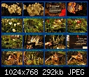 Click image for larger version

Name:	Flower show 3.4.10 1.jpg
Views:	157
Size:	291.6 KB
ID:	12536