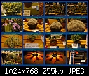 Click image for larger version

Name:	Flower show 3.4.10 3.jpg
Views:	153
Size:	254.5 KB
ID:	12538