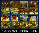 Click image for larger version

Name:	Flowershow 3-8-10 1.jpg
Views:	139
Size:	286.3 KB
ID:	12539