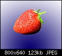 Strawberries.-strawberry-blu-bkg.jpg