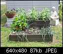 New garden has grown!!-img_2773-small-.jpg