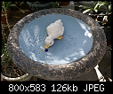 A painted bird bath-birdbath-newpaint-dsc00763.jpg