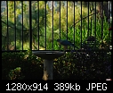 Click image for larger version

Name:	Red Shouldered Hawk - backyard.jpg
Views:	187
Size:	388.7 KB
ID:	13542