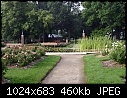 Topeka KS - E.F.A. Reinisch Memorial Rose Garden - July 12 - IMG_0620a-Reinisch_Memorial_Rose_Garden.jpg [1/1]-img_0620a-reinisch_memorial_rose_garden.jpg