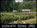 Topeka KS - E.F.A. Reinisch Memorial Rose Garden - July 12 - IMG_0619a-Reinisch_Memorial_Rose_Garden.jpg [1/1]-img_0619a-reinisch_memorial_rose_garden.jpg