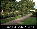 Topeka KS - E.F.A. Reinisch Memorial Rose Garden - July 12 - IMG_0647a-Reinisch_Memorial_Rose_Garden.jpg [1/1]-img_0647a-reinisch_memorial_rose_garden.jpg