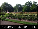 Topeka KS - E.F.A. Reinisch Memorial Rose Garden - July 12 - IMG_0656a-Reinisch_Memorial_Rose_Garden.jpg [1/1]-img_0656a-reinisch_memorial_rose_garden.jpg