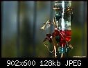 Click image for larger version

Name:	My new hummingbird feeder.jpg
Views:	218
Size:	128.1 KB
ID:	13778