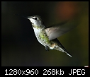 Click image for larger version

Name:	Lady Hummer 1.jpg
Views:	261
Size:	267.9 KB
ID:	13780