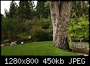 Tree &amp; bench, CSUF-tree-bench-csuf.jpg