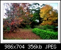 -c-4812-autumn-22-05-11-40-85.jpg