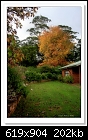 A Flaxton Garden in Autumn-4813-c-4813-autumn-22-05-11-40-85.jpg