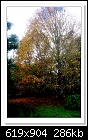 A Flaxton Garden in Autumn-4816-c-4816-autumn-22-05-11-40-85.jpg